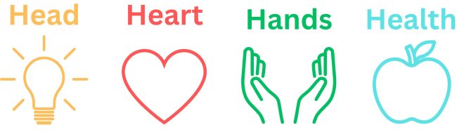 The Four H's of 4-H: Head, Heart, Hands, Health show through graphics