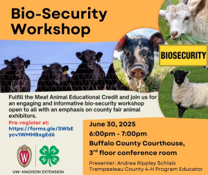 Meat Animal Educational Credit Opportunity
