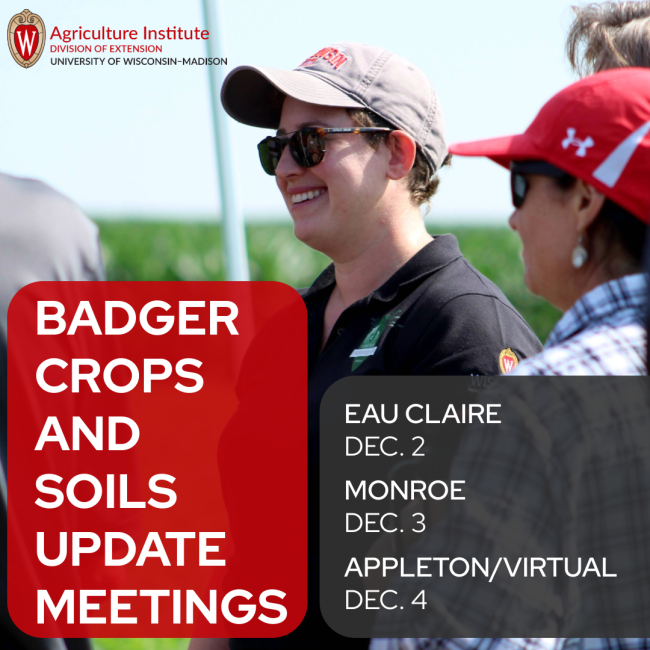 social media image flier